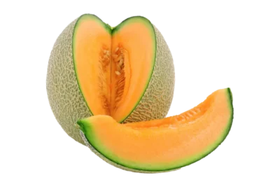 Canteloupe Melone, Italien, Stück