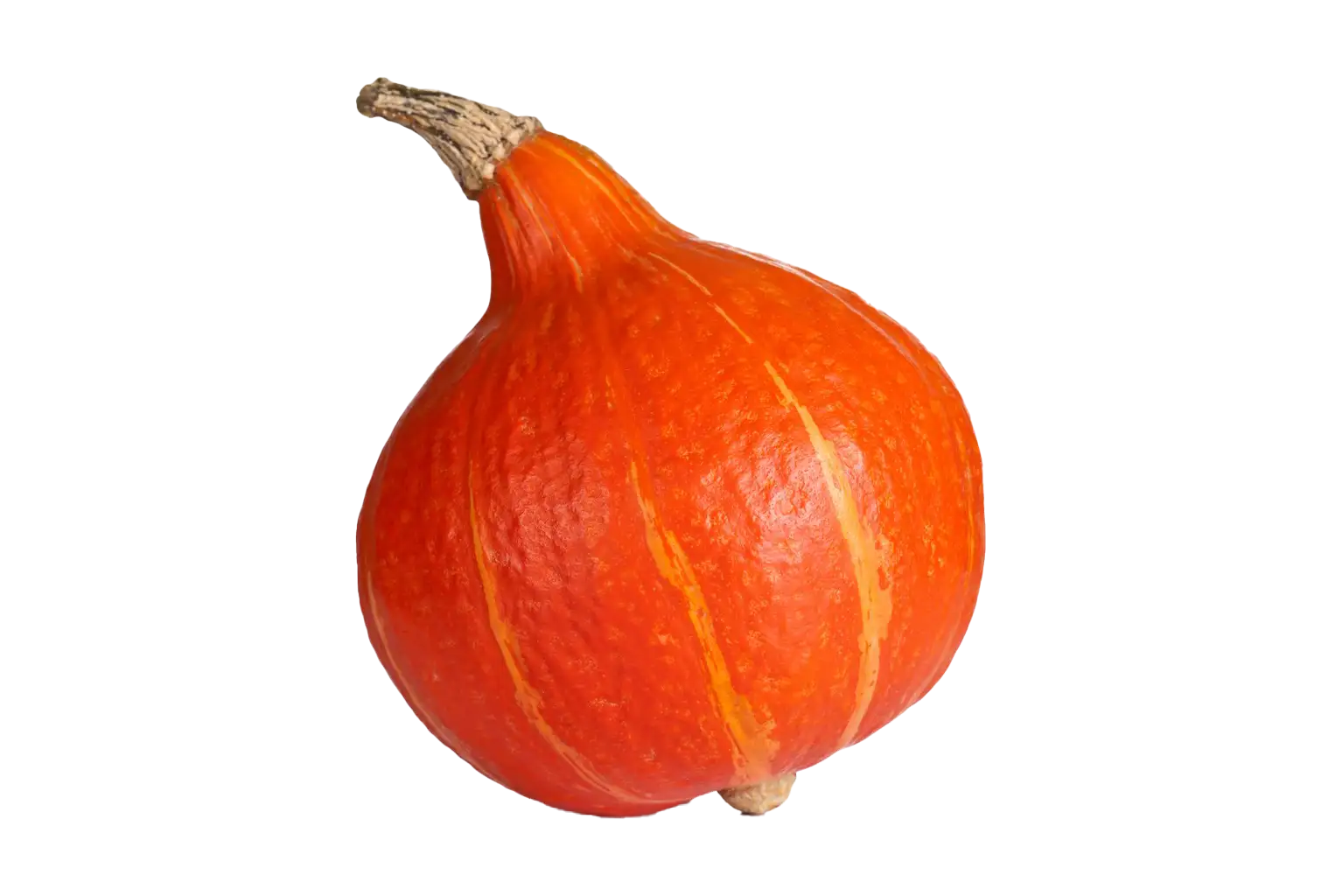 Hokkaido Kürbis, Hofmarkt Schmid, Waiblingen-Beinstein