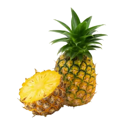 Ananas aus Costa Rica – frisch geliefert von Familie Fritz